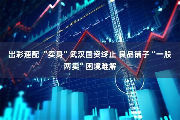 出彩速配 “卖身”武汉国资终止 良品铺子“一股两卖”困境难解
