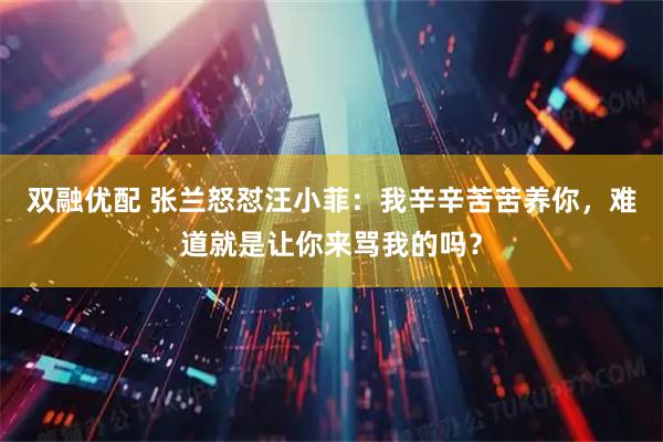 双融优配 张兰怒怼汪小菲：我辛辛苦苦养你，难道就是让你来骂我的吗？