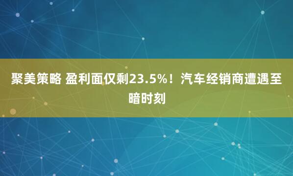 聚美策略 盈利面仅剩23.5%！汽车经销商遭遇至暗时刻