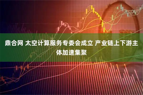 鼎合网 太空计算服务专委会成立 产业链上下游主体加速集聚